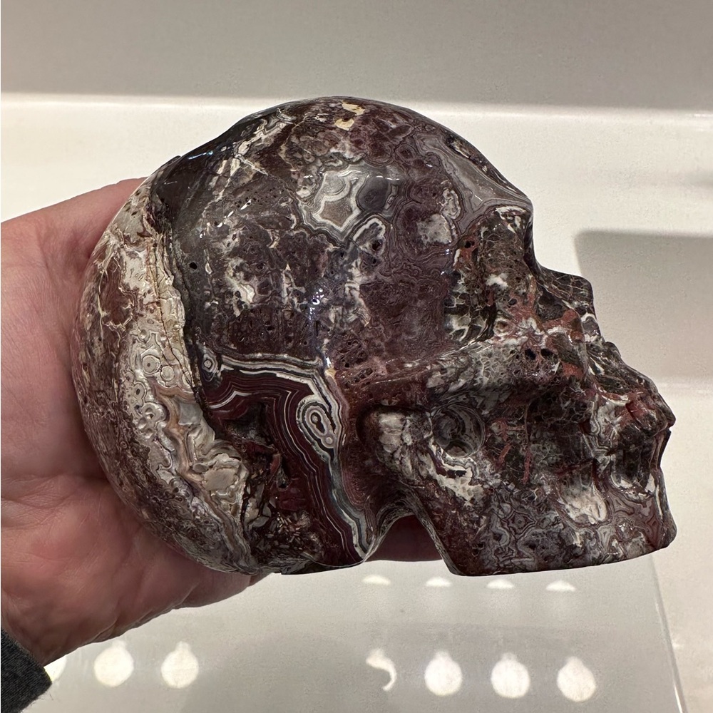 Crazy Lace Agate Skull - Picture 3 of 7